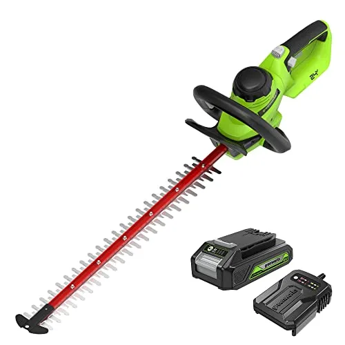 Greenworks GD24HT61K2: immagine del prodotto